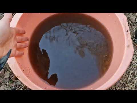 Видео: EHEIM professionel 4+600 2275. 1250 л/ч с наполнителями для аквариума до 600 л.,А уменя на 185!