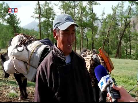 Видео: Үл тасрах нүүдлийн жим Баримтат нэвтрүүлэг (2025)