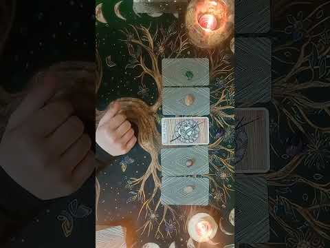 Видео: 🪴 Что происходит за моей спиной 🪴