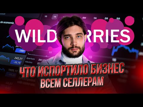 Видео: Главные проблемы маркетплейса WildBerries в 2024 году и что делать селлерам