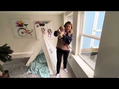 Видео: Дом в Сиэтле, США, район Рентон. 975 тыс., рядом пляж. 3 спальни, 1,5 ванные, гостевой дом, гараж.