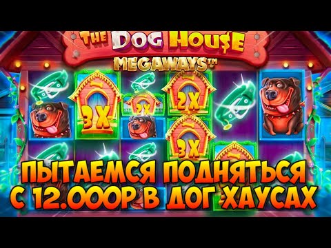 Видео: СМОГ ПОДНЯТЬСЯ С 12.000 РУБЛЕЙ В DOG HOUSE! ВЫБИЛ БОНУСКУ НА ПОСЛЕДНИЕ ДЕНЬГИ И СЛОВИЛ КРУПНЫЙ ЗАНОС