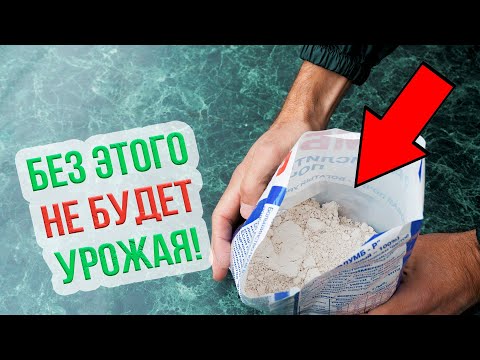 Видео: Как подготовить грядки осенью к весне? Правильная подготовка почвы к зиме