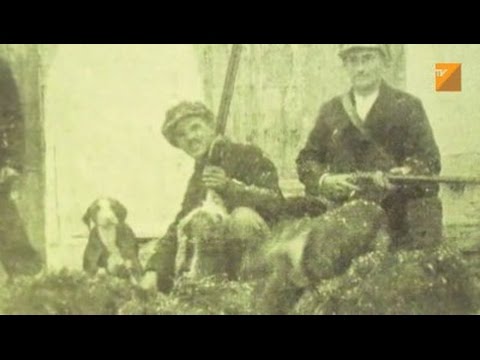 Видео: Жега - Крадци на ловни кучета