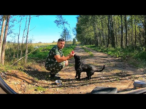 Видео: В походе с Бароном