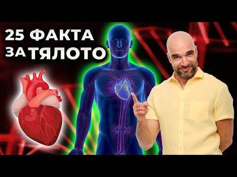 Видео: 25 ФАКТА за ЧОВЕШКОТО ТЯЛО