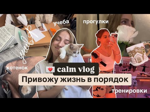 Видео: *vlog* 💌 написала курсовую, учеба на 3 курсе // ДНЕВНИК СТУДЕНТКИ , моя рутина, будни в Москве