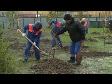 Видео: Астанадағы мектептер мен балабақшалар абаттандырылып жатыр