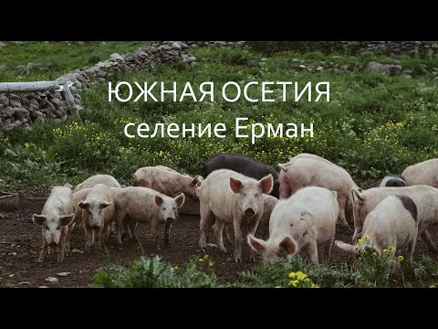 Видео: Южная Осетия. Селение Ерман.