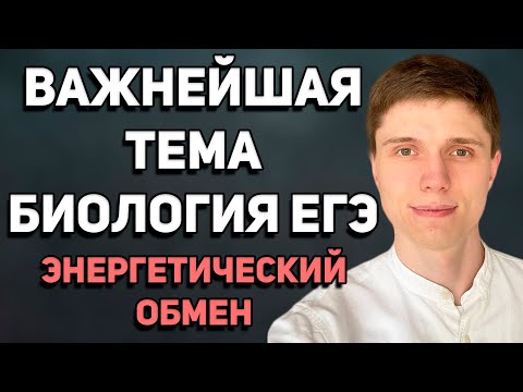 Видео: Энергетический обмен на ЕГЭ по биологии | Катаболизм