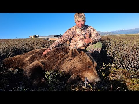 Видео: ГОРНАЯ ОХОТА НА ОГРОМНОГО БУРОГО МЕДВЕДЯ/ НЕДЕЛЮ НА КОНЯХ/ ЗАТЕРЯННЫЙ КУМИР/ ГОРНЫЙ АЛТАЙ