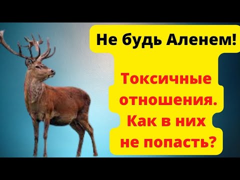 Видео: Стань невосприимчивым к женским манипуляциям! Инструкция для мужчин.