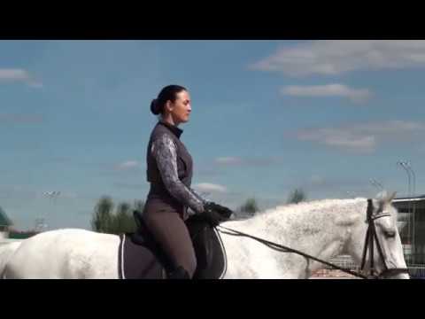 Видео: Посадка всадника. Видеокурс. Презентация