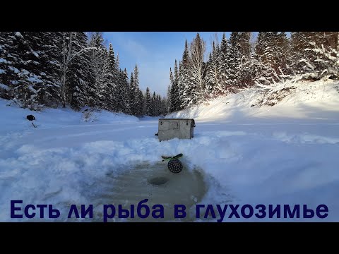 Видео: Рыбалка на Малом кемчуге в декабре 2021. Емельяновский район.