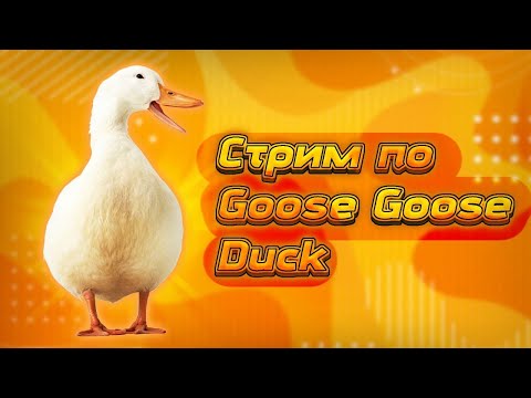 Видео: стрим по Goose Goose Duck