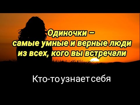 Видео: Одиночки - самые умные и верные люди