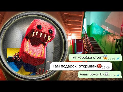Видео: Бокси Бу бродит по моему дому