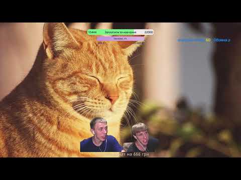 Видео: Некто Ми Нові рубрики