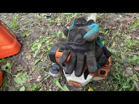 Видео: ПОКОС ТРАВЫ ЗАРАБОТОК НА ПОКОСЕ  РАЗНЕС МАЛИННИК ЛЕСКОЙ stihl fs410 #покостравы #stihl