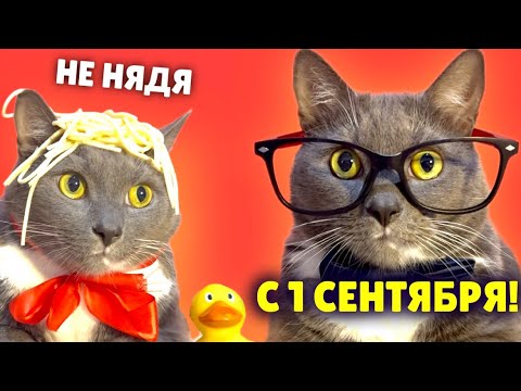 Видео: ЕСЛИ БЫ КОТИКИ ХОДИЛИ В ШКОЛУ - 1 СЕНТЯБРЯ