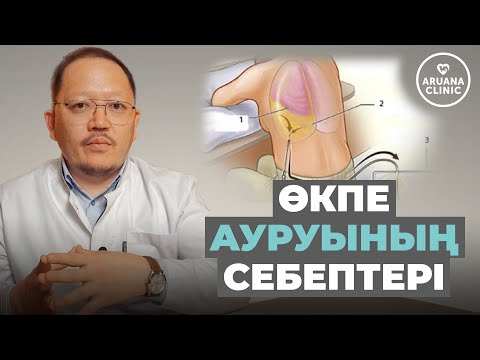 Видео: Өкпе ауруының белгілері және оның емдеу жолдары! Пневмония! Жөтел! Өкпе ауырғанда не істеу керек?