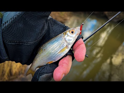 Видео: 🤬 НУ НЕ ТАКОГО ОТКРЫТИЯ РЫБАЛКИ Я ЖДАЛ / ПЕРВЫЙ МОРМЫШИНГ В 2025 ГОДУ