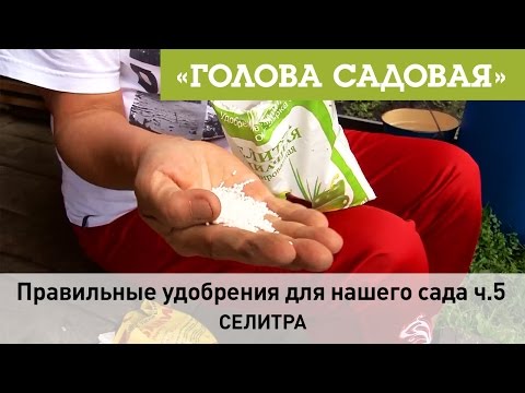 Видео: Голова садовая - Правильные удобрения для нашего сада ч.5 (Калий сернокислый)