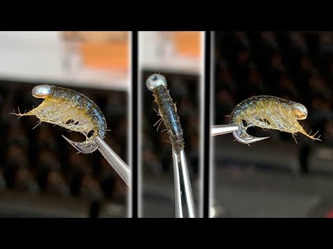 Видео: Мерзкий, но вкусный Рачек Gammarus, Бокоплав. Обмен Опытом