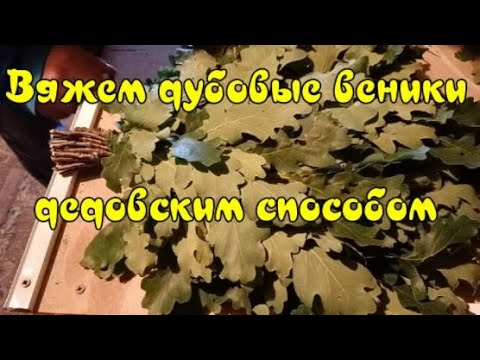 Видео: Вяжем дубовые веники дедовским способом