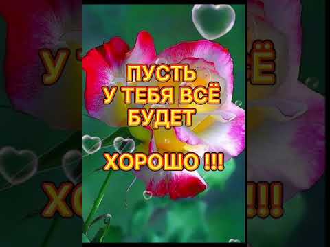 Видео: С Добрым Утром !!!