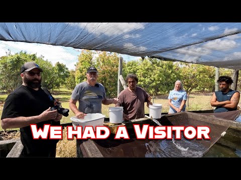 Видео: У нас был гость! Cunningham's Tropicals LLC