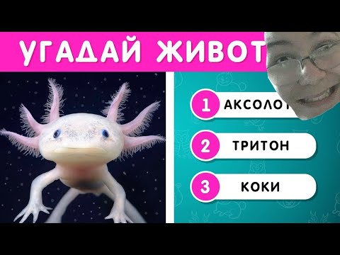 Видео: УГАДАЙ ЖИВОТНОЕ ПО ФОТО🤔🐺🦊🦥 EMOJI COOL 😎 РЕАКЦИЯ