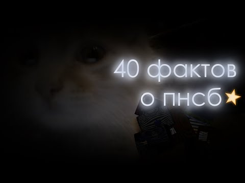 Видео: 40 ФАКТОВ О ПЯТЬ НОЧЕЙ С БАРСИКОМ