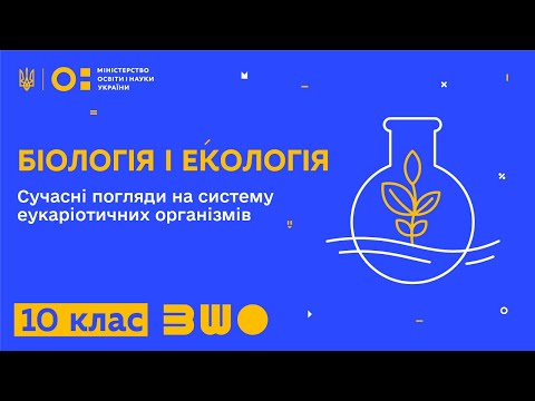 Видео: 10 клас. Біологія і екологія. Сучасні погляди на систему еукаріотичних організмів