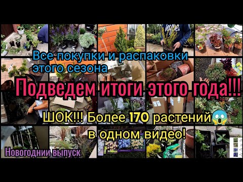 Видео: Всё что я посадила за год в одном видео. Более 170 растений! Мой сад с ранней весны до поздней осени