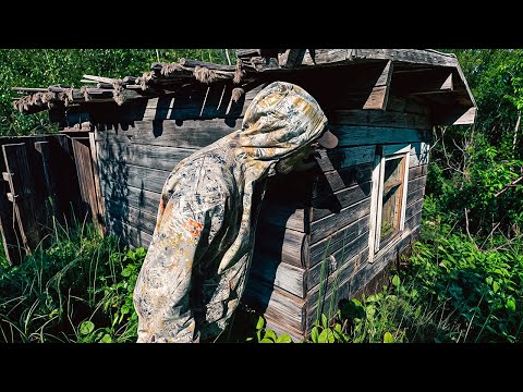 Видео: ИЗБА УХОДИТ В БОЛОТО. ПОХОД НА БОРОВУЮ. ЭТО ПОПАЛО В КАДР. РЫБАЛКА.