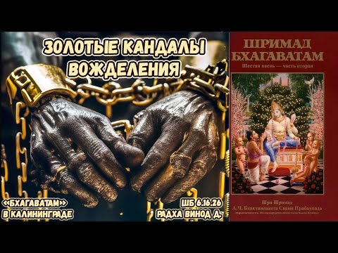 Видео: Золотые кандалы вожделения. Радха Винод д. ШБ 6.16.26