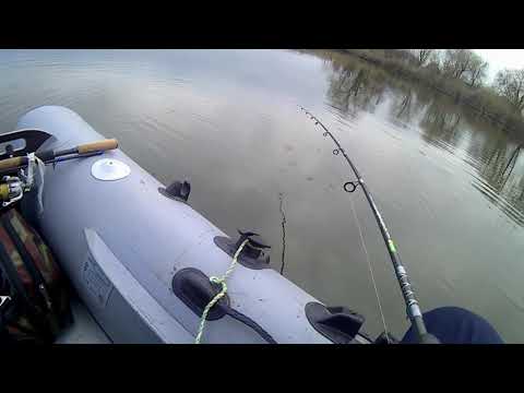 Видео: Лобатый на 9 кг. + судак.. джиг на блесну  грушка. ... 13.01.20.