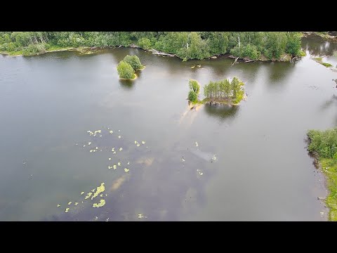 Видео: Затопленный карьер, пос. Кунгурка (между Курганово и Дегтярском, Свердловская область). SJRC F11s.