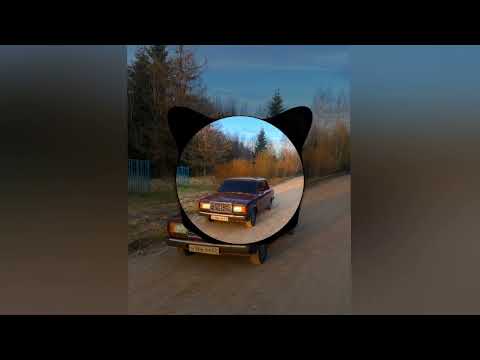 Видео: В моём сердце суета 👌🔥❤️