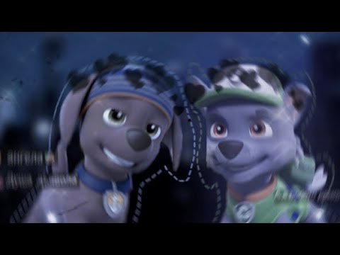 Видео: 💤✖️Рокки × Зума✖️💤для:Ꮻʍᴇgᴀ Gasket Sun(Если я спал с тобой) ✖️💤Rocky × Zuma💤✖️for:Ꮻʍᴇgᴀ Gasket Sun 