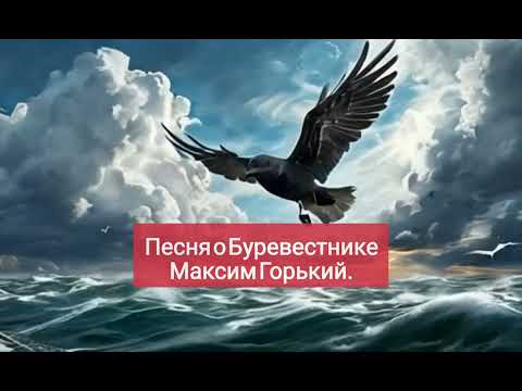 Видео: песня о Буревестнике.  это просто РАЗРЫВ 🔥