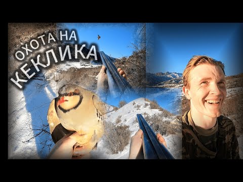 Видео: Охота на КЕКЛИКА в Красивейших Местах / Поймал Живого Кеклика /5 Голов - #охота #hunting #кыргызстан