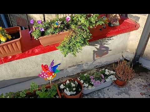 Видео: Город для  душі 