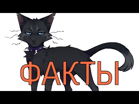 Видео: Факты о Биче|«Коты-Воители»