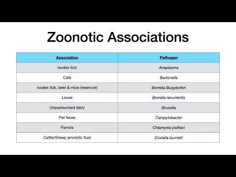 Видео: Модные слова и ассоциации в микробиологии