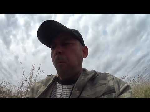 Видео: Сазан клюёт! Народу тьма! Сартлан!