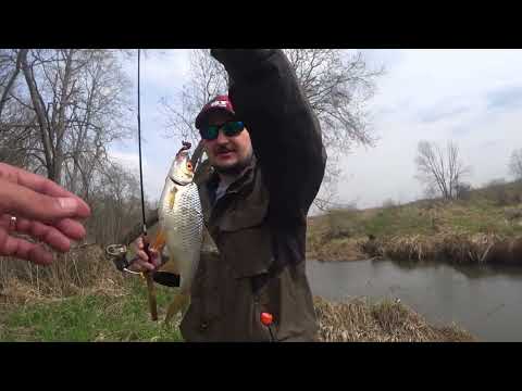 Видео: Микроджиг на малой лесной речке. В этой речке есть монстры!) Отличная шука на микроджиг.