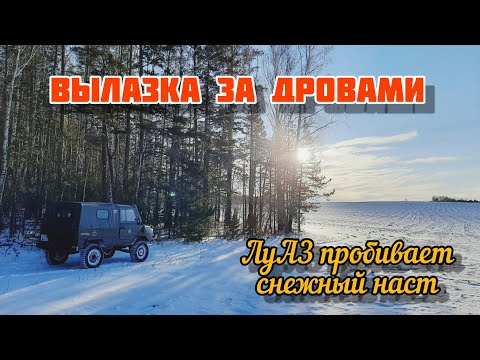 Видео: ВЫЛАЗКА ЗА ДРОВАМИ - ЛуАЗ пробивает снежный наст.