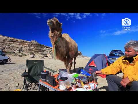 Видео: Глазами Туриста "Меж двух морей" Плато Устюрт Путешествия